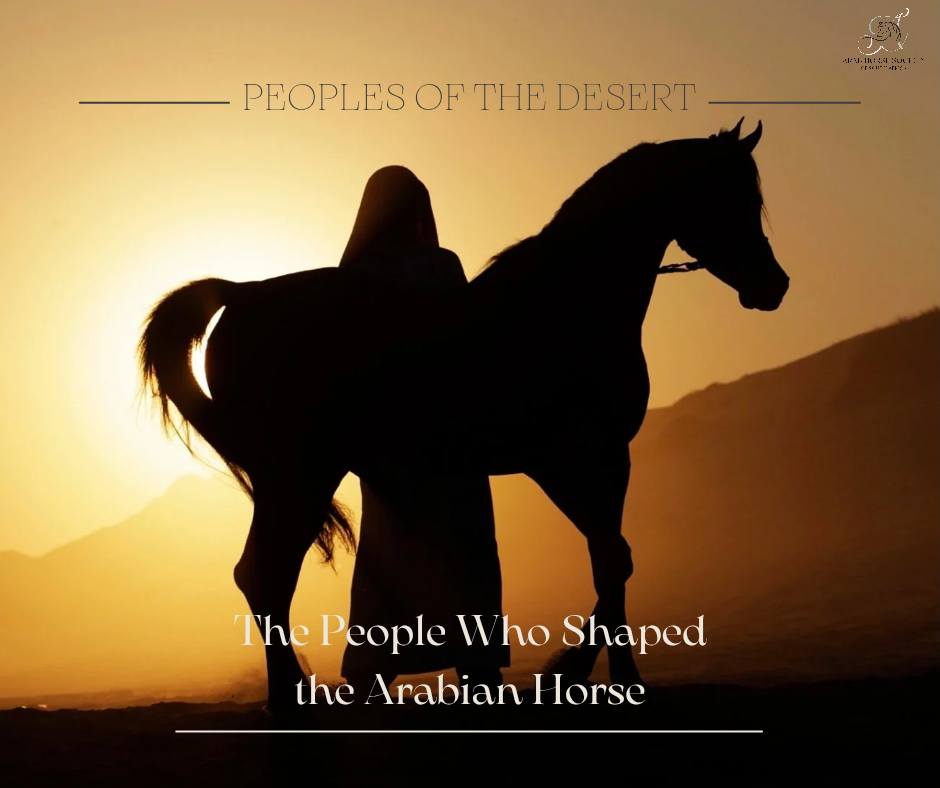 woman and horse shadow