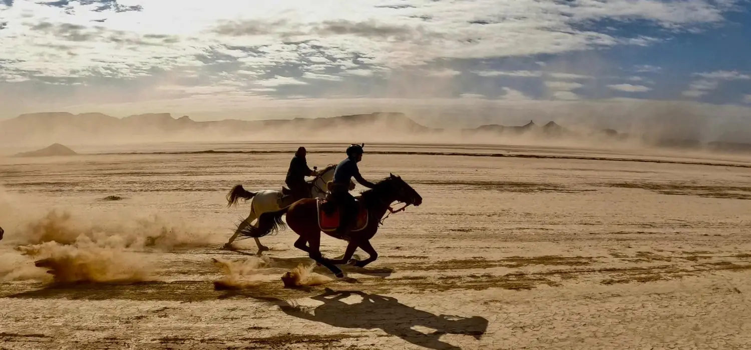 horses running in desert