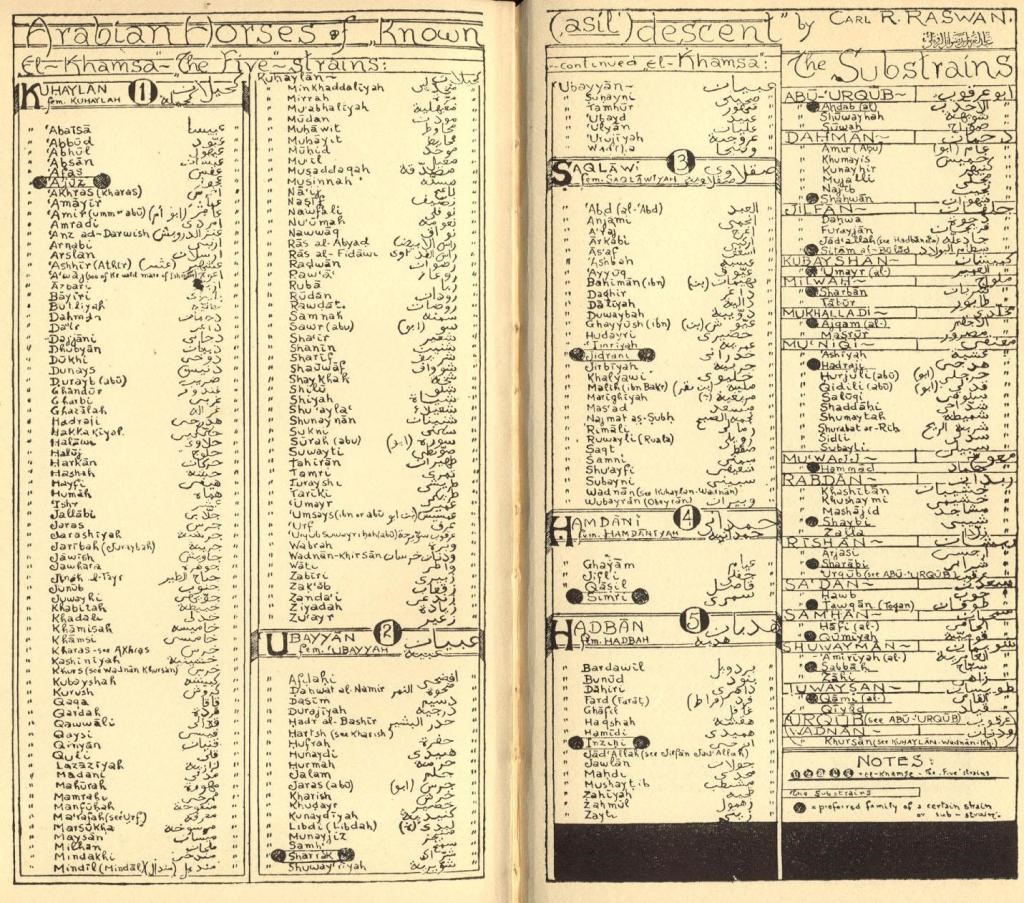 horse list