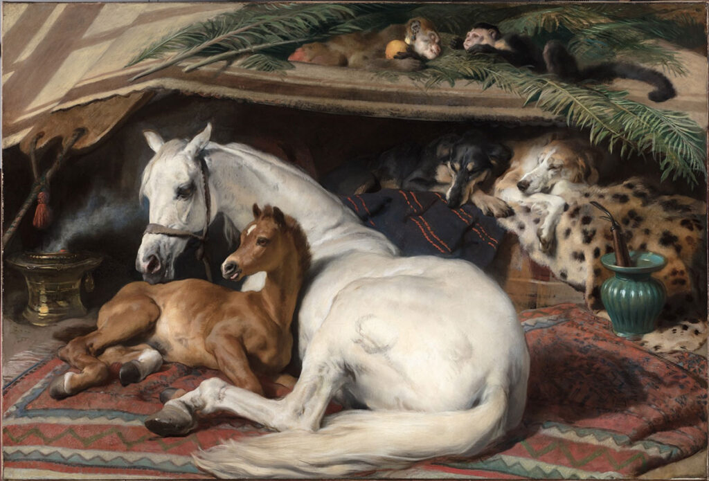 BEDUIN HORSES IN TENT