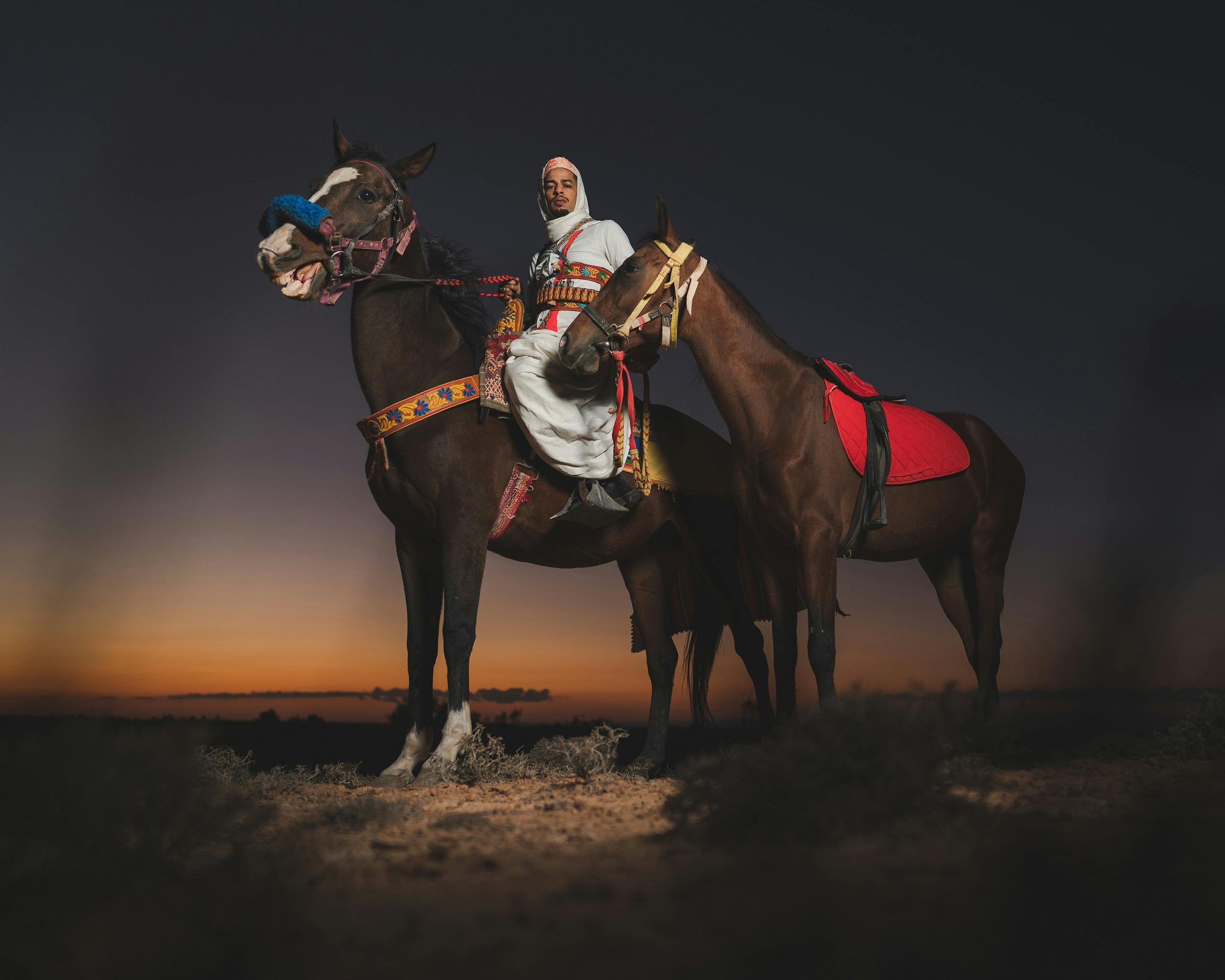 arab and his horses at night