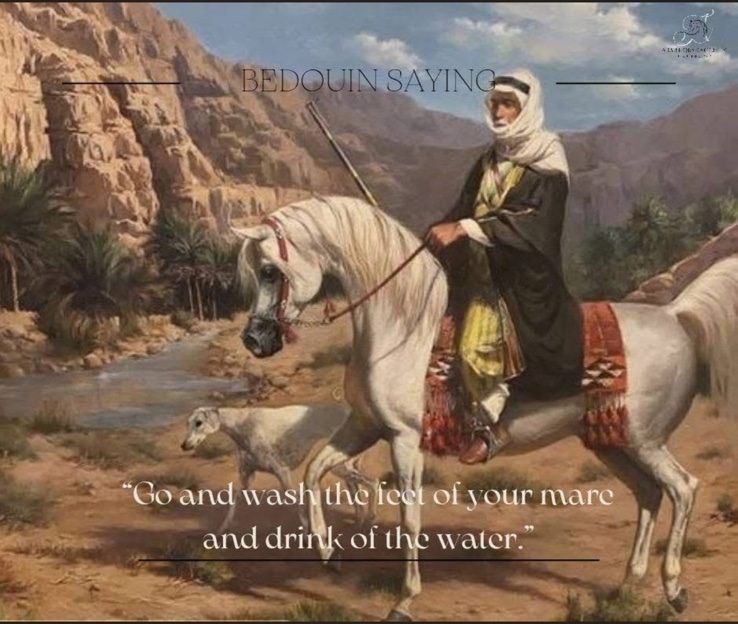 beduin and his horse 1
