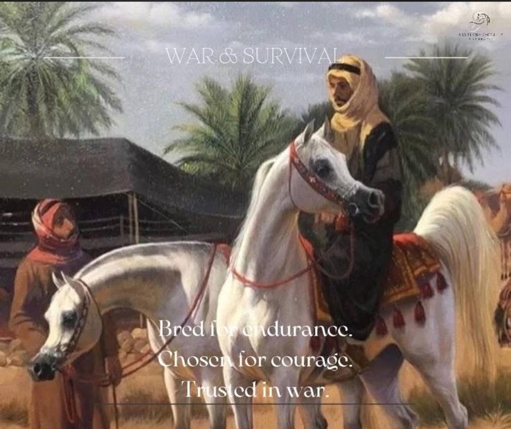beduin and his horse 2