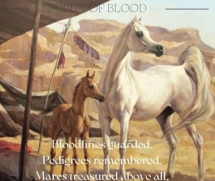 horses old pic